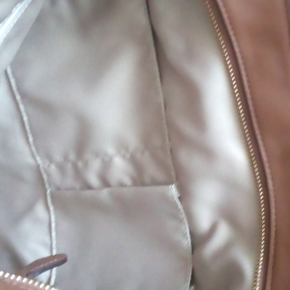 Coach - Picture 5 of 6